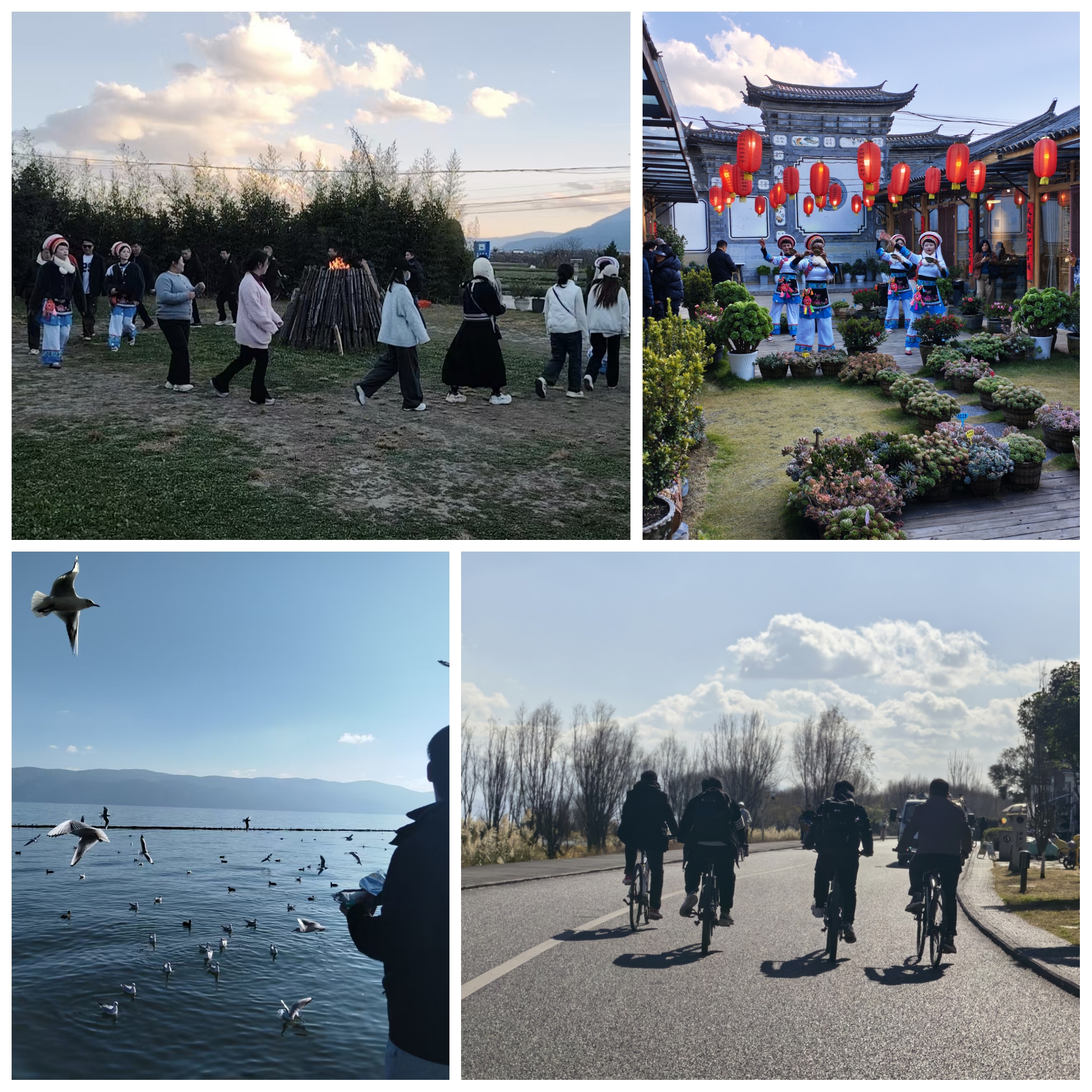 河南易沃克團(tuán)建之洱海生態(tài)走廊